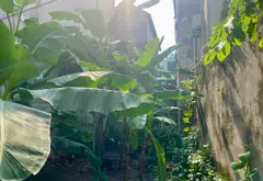 Đất Bồ Đề diện tích 89m2 mặt tiền rộng, vị trí thuận tiện gần ô tô... Bán owner_side tại Bồ Đề, Hà Nội 01