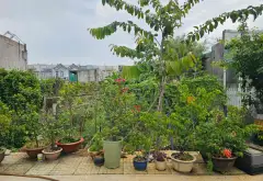 Cơ hội độc quyền sở hữu đất đẹp phường Thới An, Hồ Chí Minh chỉ 5.25 tỷ... Bán đất tại Thới An, Hồ Chí Minh 07