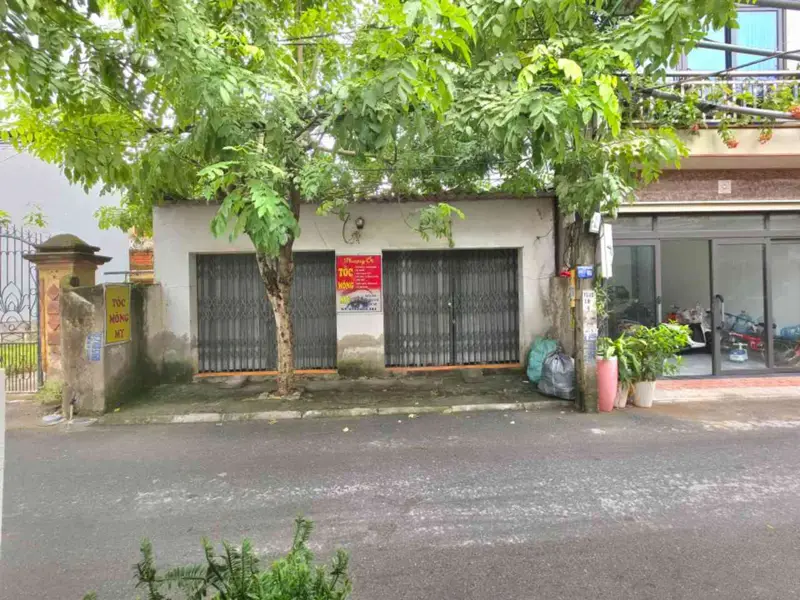 Bán đất mặt ngõ kinh doanh, mặt tiền rộng tại TDP Bình Minh 231m... Bán đất tại Gia Lâm, Hà Nội 01