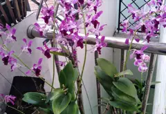 Nhà riêng 2 tầng thiết kế kiên cố, vị trí yên tĩnh gần Hồ Bá Kiện, Quận 10... Bán nhà riêng tại Hòa Hưng, Hồ Chí Minh 18