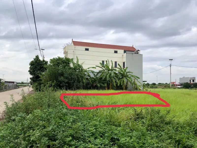Lô Đất Vàng Vĩnh Xá 130m² Mặt Tiền Rộng - Cơ Hội Vàng Đầu Tư... Bán đất tại Nghĩa Dân, Hưng Yên 01