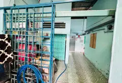 Bán nhà mặt phố tại vị trí trung tâm, diện tích 265,7m², mặt tiền 7m, pháp lý chuẩn... Bán nhà mặt phố tại Hóc Môn, Hồ Chí Minh 11