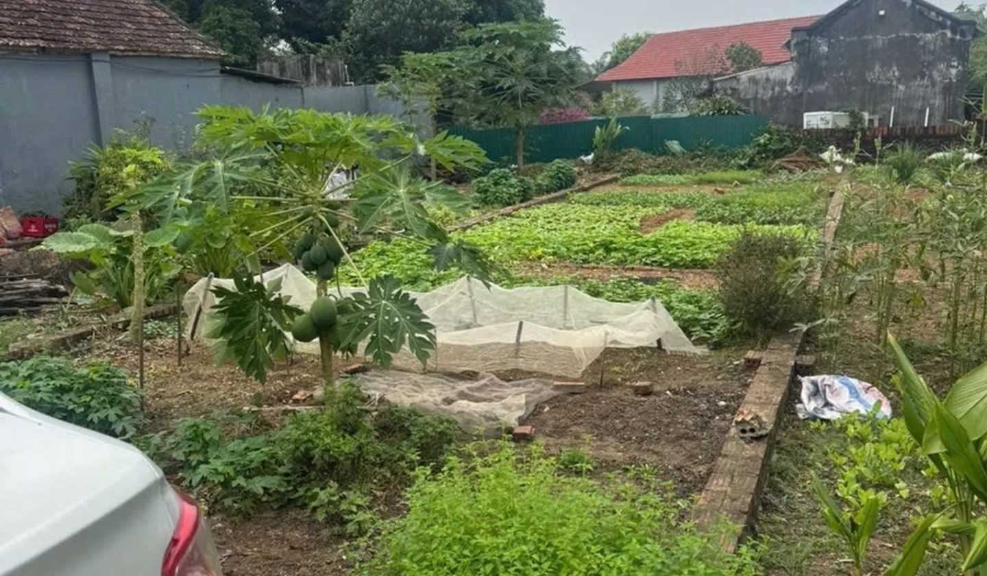 Cơ Hội Sở Hữu Lô Đất Đẹp Ngay Trung Tâm Thắng Trí - Minh Trí... Bán đất tại Kim Anh, Hà Nội 01
