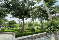 Bán biệt thự liền kề Đông Dương Residence Hoài Đức - Lô góc 3 mặt thoáng, 80m2, 5 tầng... Bán biệt thự, liền kề tại Hoài Đức, Hà Nội 06