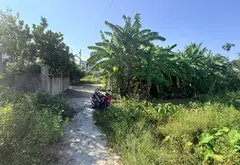 Kiếm đất HOT Phường An Hải, Hải Phòng - Đầu tư cực phẩm... Bán đất tại An Hải, Hải Phòng 03