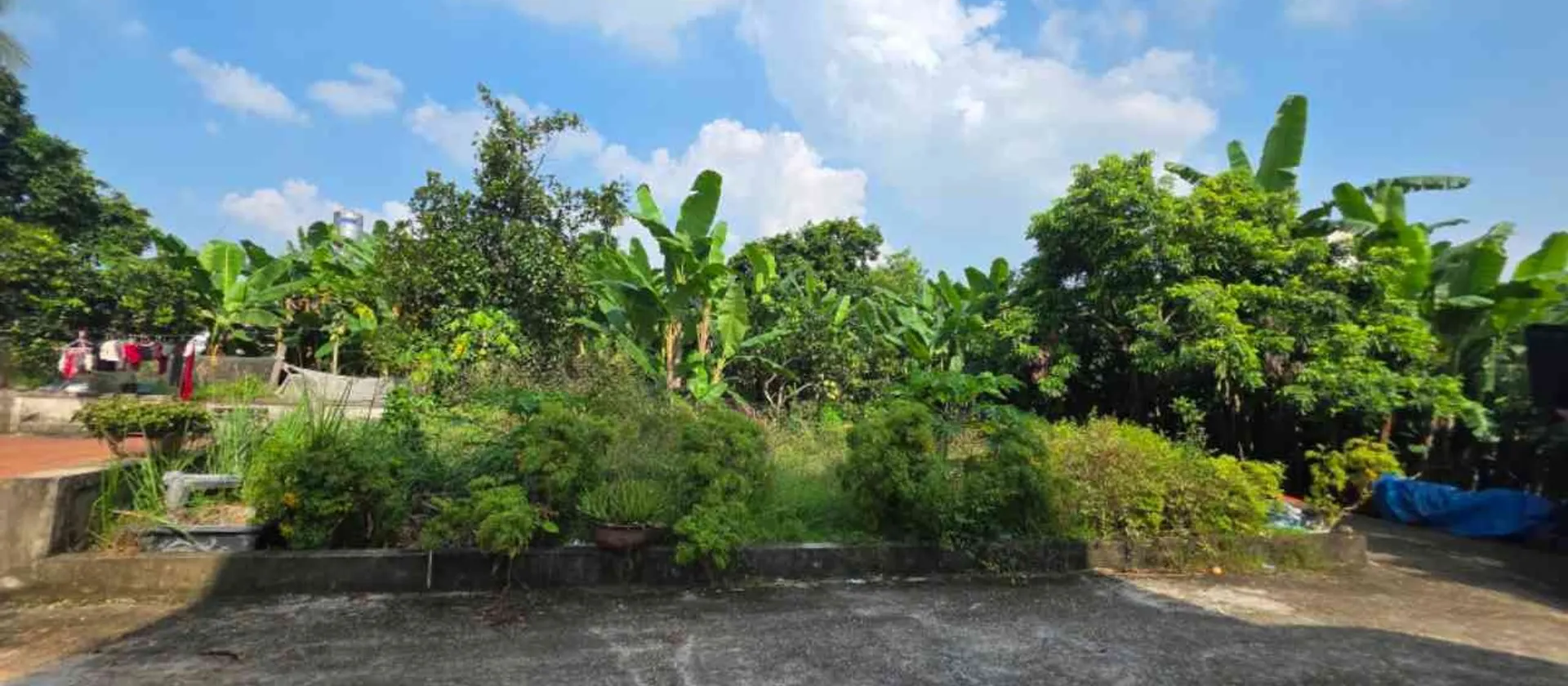 Mua đất tặng nhà 3tầng gần trung tâm phường hiệp Hòa Bắc Ninh. Tiện ích xung quanh đầy đủ... Bán nhà riêng tại Hiệp Hòa, Bắc Ninh 01