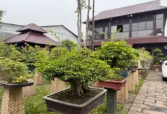 🌹🌹Bán Gấp Biệt Thự  700m2 Đường Hai Bà Trưng, P.Đông Hoà, TP Dĩ An, Bình Dương... Bán nhà mặt phố tại Đông Hòa, Hồ Chí Minh 07