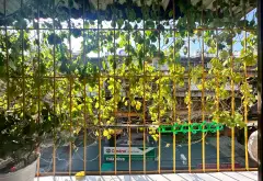 Căn hộ 3PN rộng rãi tại Thanh Xuân - Không gian sống lý tưởng... Bán căn hộ chung cư tại Thanh Xuân, Hà Nội 10
