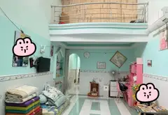 🔥 [GIẢM 100TR] GIÁ MỚI 3,05 TỶ - CHỦ VỀ QUÊ BÁN GẤP NHÀ BÀ ĐIỂM HÓC MÔN- 42m2... Bán nhà riêng tại Bà Điểm, Hồ Chí Minh 01