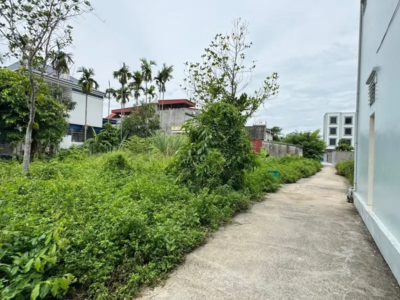 Siêu phẩm lô góc rộng 639m² tại trung tâm Thủy Nguyên, Hải Phòng... Bán đất tại Thủy Nguyên, Hải Phòng 01