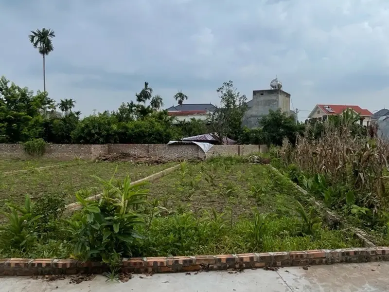 Bán đất , mặt tiền 5m tại Thôn Đức Nhuận, Triệu Việt Vương... Bán đất tại Triệu Việt Vương, Hưng Yên 01