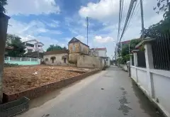 Cơ hội hiếm có sở hữu đất kinh doanh đắc địa tại Chi Đông... Bán đất tại Quang Minh, Hà Nội 03