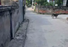Đất bán Hòa Liễu, Thuận Thiêm, Kiến Thụy, Hải Phòng diện tích 156m² hướng đông... Bán đất tại Kiến Thụy, Hải Phòng 02