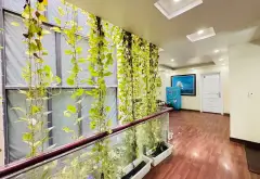 Nhà mặt phố xịn sò 5 tầng có thang máy tại Lê Chân, Hải Phòng... Bán nhà mặt phố tại Lê Chân, Hải Phòng 05
