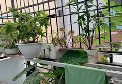 NHÀ HẺM XE HƠI 4 x 17m  62m2  NGAY COOPMART QUANG TRUNG - Vị Trí Đẹp GIÁ 5 TỶ 950... Bán nhà riêng tại Thông Tây Hội, Hồ Chí Minh 04