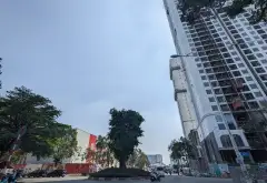 Bán nhà mặt tiền Trần Văn Ơn 10.5t
Diện tích 230m2... Bán nhà mặt phố tại Đông Hòa, Hồ Chí Minh 06