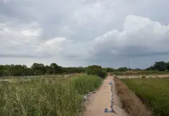 Bán đất 17.436m2 gần phà Bình Khánh, Cần Giờ giá 139 tỷ... Bán đất tại Bình Chánh, Hồ Chí Minh 08