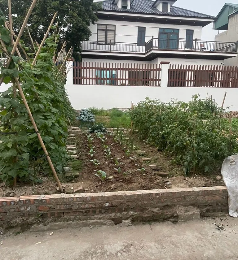 Đất đẹp ô tô đỗ cửa, ngõ rộng thông thoáng ở Tam Á, Thuận Thành... Bán đất tại Thuận Thành, Bắc Ninh 01