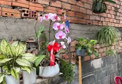 Bán nhà 1 trệt 1 gác lửng 5 phòng tại Linh Xuân, giá 5.7 tỷ... Bán nhà riêng tại Linh Xuân, Hồ Chí Minh 05
