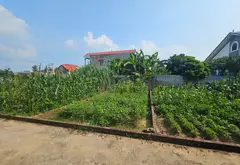Bán đất Phù Linh diện tích 59m2 mặt tiền rộng, pháp lý chuẩn sổ đỏ... Bán đất tại Sóc Sơn, Hà Nội 03