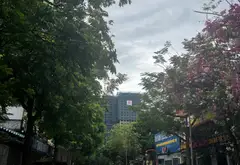 Bán biệt thự liền kề - Tây Nam Linh Đàm - 210m² - Kinh doanh đỉnh cao... Bán biệt thự, liền kề tại Hoàng Mai, Hà Nội 02