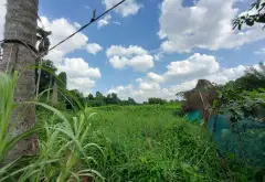 Bán đất phường Tam Bình, TP Thủ Đức, diện tích lớn giá hợp lý... Bán đất tại Tam Bình, Hồ Chí Minh 10