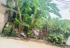Cơ hội sở hữu đất vàng Ba Lăng với vị trí trung tâm cực đỉnh gần vận động Trống Đồng Vinfats... Bán đất tại Thường Tín, Hà Nội 01