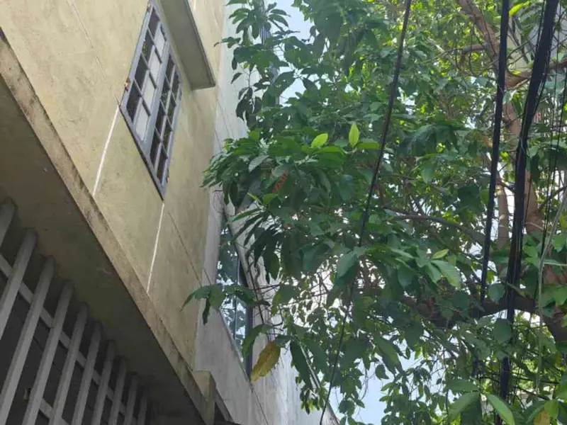 Bán nhà mặt phố lô góc, Phan Đăng Lưu, Hải Châu, Đà Nẵng, diện tích 141m², kinh doanh ổn định... Bán nhà mặt phố tại Hải Châu, Đà Nẵng 01