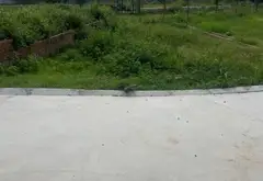 Cơ hội sở hữu đất thổ cư rộng 100m2 ngay Thôn Thái Vụ, Xã Kim Anh ➡️ Thôn Vụ Bản, Xã Tân Dân cũ... Bán đất tại Kim Anh, Hà Nội 01