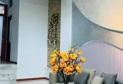 Nhà 5 Tầng Hẻm Xe Tải Tô Hiến Thành - 6PN, Sân Thượng Thoáng... Bán nhà riêng tại Hòa Hưng, Hồ Chí Minh 19