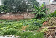 Bán đất 45m2 mặt tiền rộng tại Thuận An Dương Quang giá tốt... Bán đất tại Thuận An, Hà Nội 04