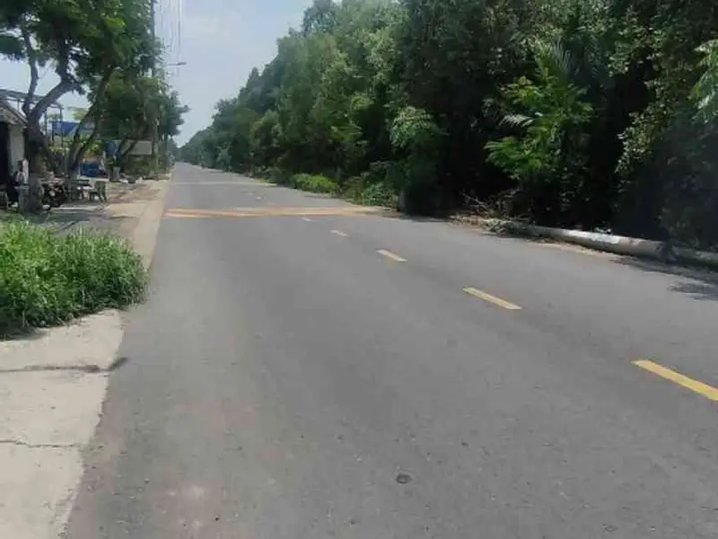 Bán đất 6000m2 mặt tiền 56m tại An Thới Đông TP HCM... Bán đất tại An Thới Đông, Hồ Chí Minh 01