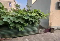 Cơ hội sở hữu thửa đất vàng tại Trung Thôn, gần dự án VinOlympic... Bán đất tại Thường Tín, Hà Nội 02