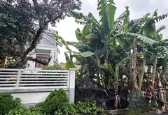 Bán đất nền Tràng Cát hướng Tây, vị trí chiến lược sát dự án Sao Đỏ... Bán đất tại Hải An, Hải Phòng 02