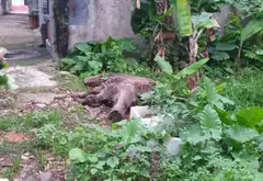 Cơ hội có 1 không 2: Đất rộng thoáng, vị trí đẹp tại Vạn Phúc, giá siêu hấp dẫn... Bán đất tại Nam Phù, Hà Nội 04