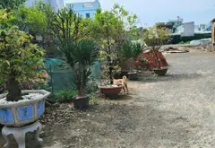 Bán 4000m nhà vườn mặt tiền Võ Thị Hồi, Hóc Môn... Bán nhà mặt phố tại Xuân Thới Sơn, Hồ Chí Minh 07