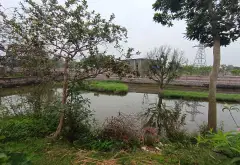 Bán đất 1800m2 tại xã Kim Anh, Hà Nội giá 5,5 triệu/m2... Bán đất tại Kim Anh, Hà Nội 04