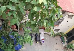 Bán nhà 3 tầng 20m2 tại Hà Đông, giá 2.8 tỷ, full tiện nghi... Bán nhà riêng tại Hà Đông, Hà Nội 16