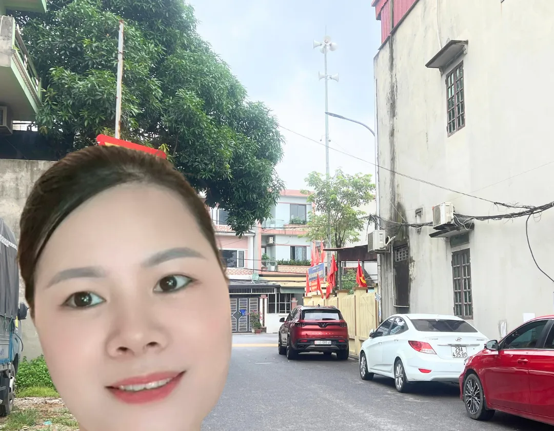 Trung tâm Đông Anh đường thông 3 ô tô tránh, kinh doanh mọi mặt hàng. Cho thuê dòng tiền hàng tháng... Bán nhà mặt phố tại Đông Anh, Hà Nội 01