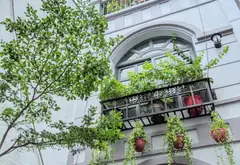 Nhà bán đường bùi hữu nghĩa, phường Gia Định TP.HCM... Bán nhà riêng tại Gia Định, Hồ Chí Minh 01