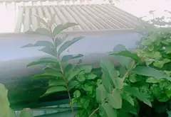 Nhà mặt phố Bình Tân giá hời, cho thuê ổn định... Bán nhà mặt phố tại An Lạc, Hồ Chí Minh 05