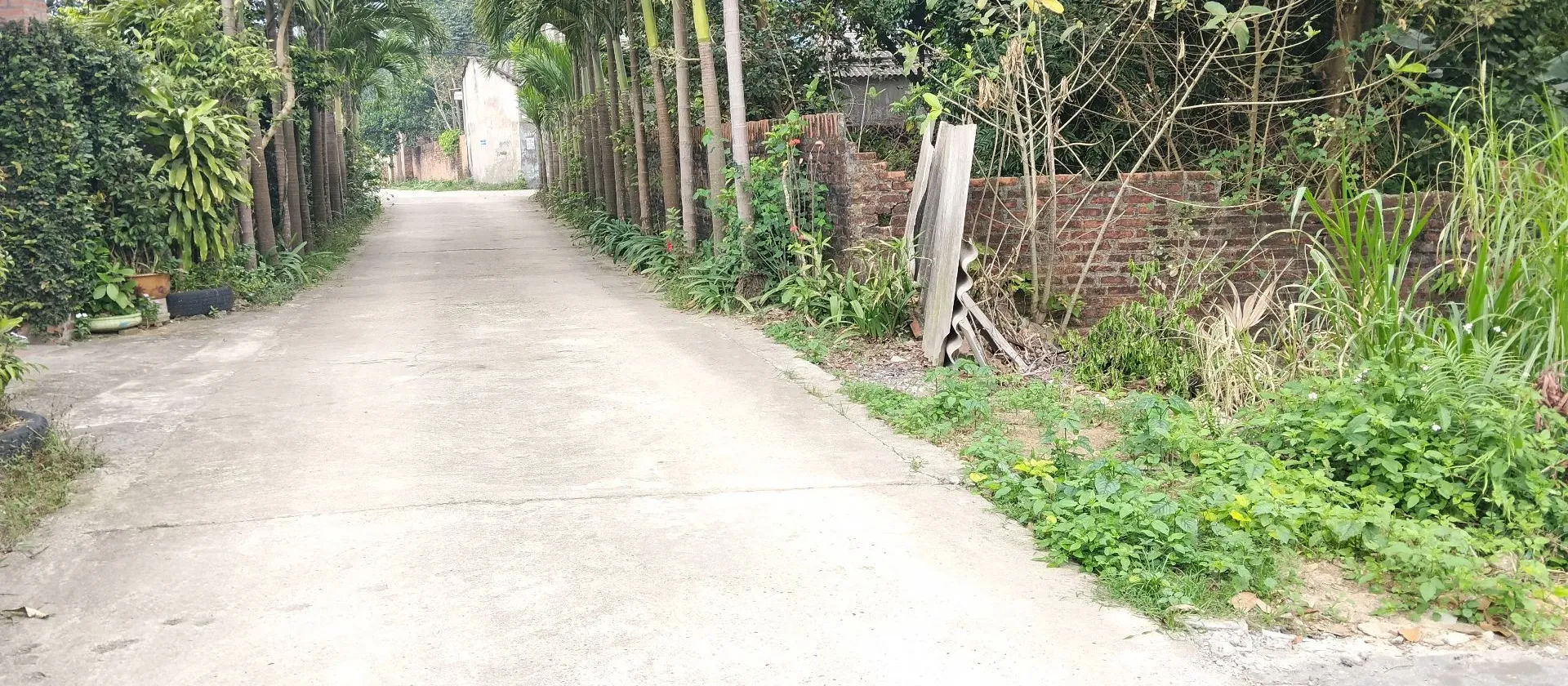 Cơ Hội Đầu Tư Đất Nền Đan Tảo, Tân Minh Chỉ 3 Tỷ VNĐ... Bán đất tại Sóc Sơn, Hà Nội 01