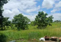 Kho bãi rộng lớn, vị trí đẹp giá hợp lý tại Đinh Đức Thiện... Bán kho, nhà xưởng tại Bình Chánh, Hồ Chí Minh 04