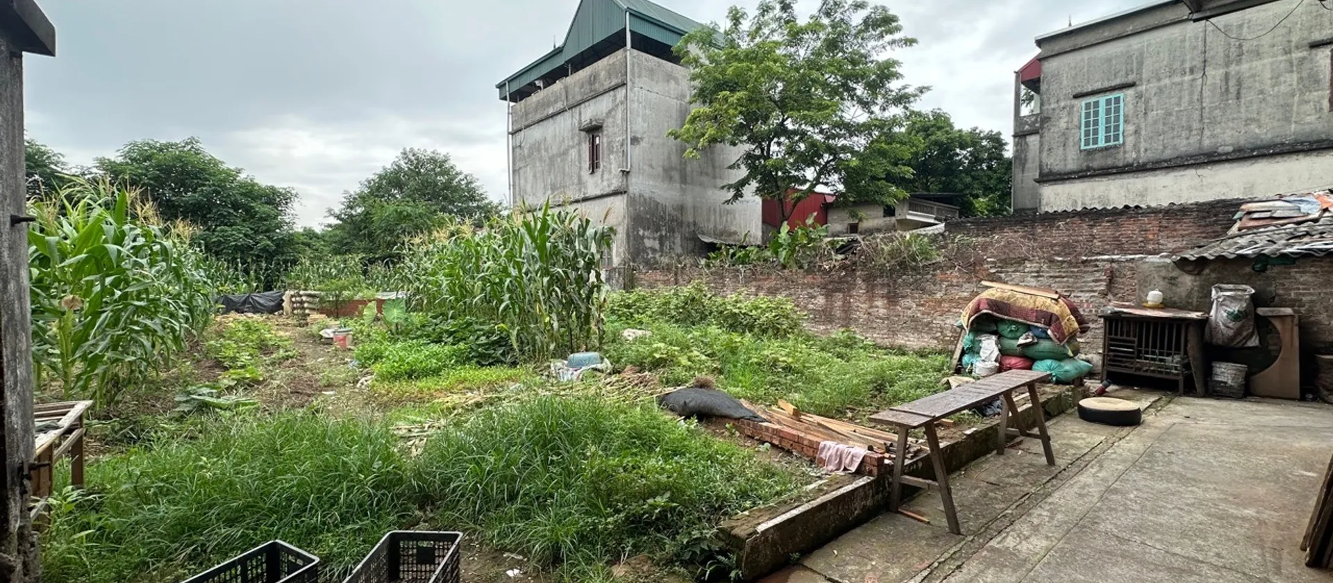 Cơ Hội Sở Hữu Đất Phân Lô Vị Trí Vàng Tại Thôn Tam Lư Giá Tốt... Bán đất tại Đồng Nguyên, Bắc Ninh 01