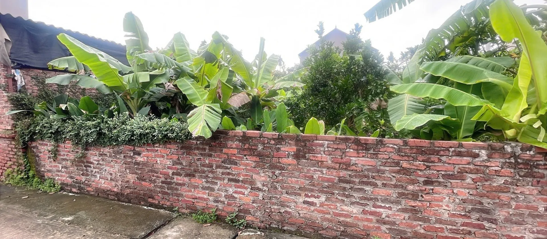 Đất phân lô hiếm tại Yên Tàng - Đa Phúc, sổ đỏ mới, phân chia linh hoạt, giá cực tốt.... Bán đất tại Đa Phúc, Hà Nội 01