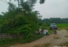 Bán đất 883m² xã Trần Phú, Hà Nội phù hợp phân lô tách bán... Bán đất tại Trần Phú, Hà Nội 08