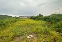 Bán đất thổ cư mặt đường lớn xã Bàng La, thuận tiện kinh doanh và ô tô tránh... Bán đất tại Nam Đồ Sơn, Hải Phòng 04