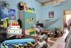 Chung cư mini 3PN rộng rãi tại Nhiêu Lộc, giá hấp dẫn... Bán chung cư mini tại Nhiêu Lộc, Hồ Chí Minh 07