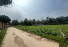 Bán đất Bắc Sơn diện tích rộng 823m², mặt tiền 35m, giá tốt... Bán đất tại Trung Giã, Hà Nội 08