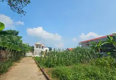 Bán đất Phù Linh 59m2 mặt tiền rộng, giá 1.65 tỷ đồng... Bán đất tại Sóc Sơn, Hà Nội 02